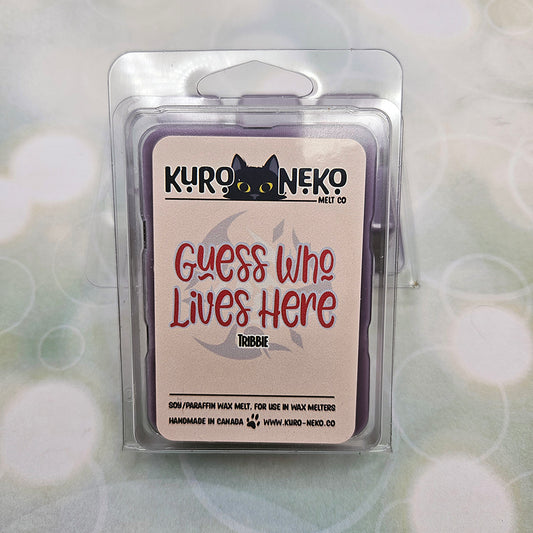 A set of wax melts in a clamshell on light green background with white circles.  The pictured scent is Guess Who Lives Here: Tribbie.
